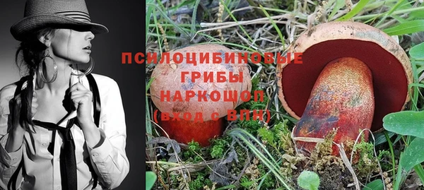 индика Киреевск
