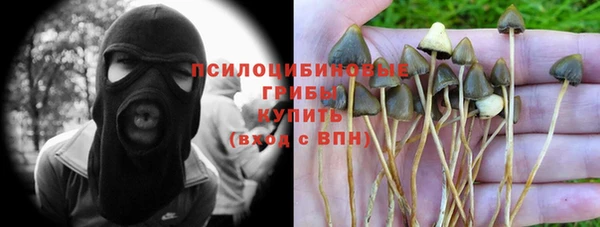 экстази Корсаков