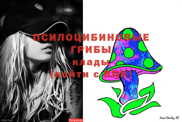 герыч Козловка