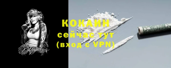 индика Киреевск
