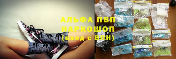 индика Киреевск