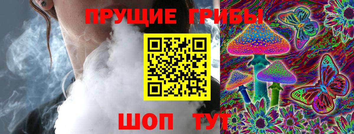 Псилоцибиновые грибы Cubensis Клинцы