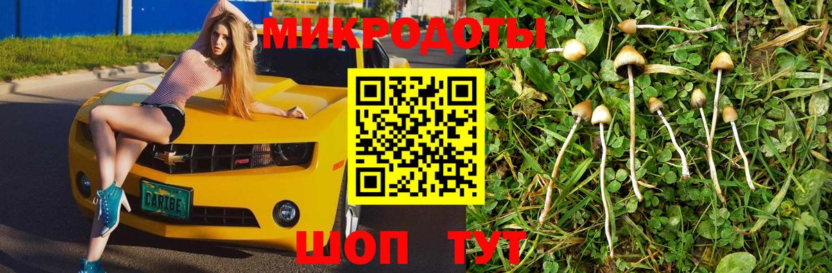 Псилоцибиновые грибы прущие грибы  Вход с VPN  купить наркотики сайты  Клинцы 